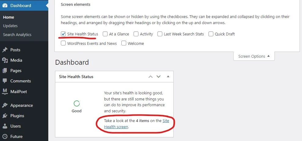 wordpress site health screen